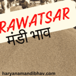 रावतसर मंडी भाव